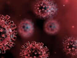 Zona Hijau Kembali Kuning, Terkonfirmasi Positif Covid-19 di Kaltim Masih Terjadi