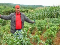 Komoditas Kopi Diharapkan Jadi Ikon Kutai Kartanegara