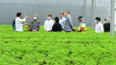 Indonesia Punya Potensi Besar pada Ekonomi Hijau dan Digital