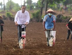 Jadi Jangkar Pemulihan Ekonomi, Jokowi Tekankan Pentingnya Realisasi Investasi