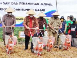 Pertanian di Kutai Kartanegara Bikin Kaltim Optimistis Jadi Lumbung Pangan Nasional