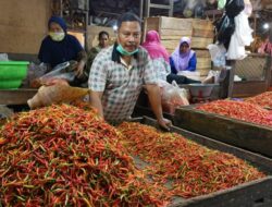 Harga Cabai di Samarinda Terus Melonjak, Penjual dan Pembeli Mengaku Rugi