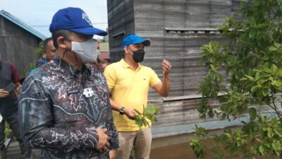 Tanaman Kratom Dilarang, BNN dan DPRD Kaltim Upayakan Alternatif Lain bagi Pembudidaya di Kukar