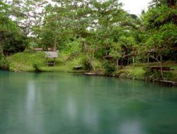 Kali Biru Genyem Papua, Surga Cantik di Bumi Cenderawasih