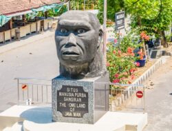 Desa Wisata Sangiran Menawarkan Situs Purbakala dan Wisata Sejarah yang Kental