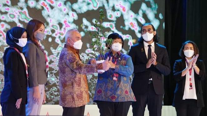 Pertemuan Y-20, Menteri KLHK Apresiasi Kesuksesan Penanaman Kembali Mangrove di Balikpapan