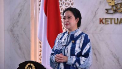 Puan Maharani Dorong Cuti Ibu Hamil Jadi Enam Bulan, Ini Alasannya