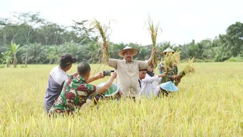 Surplus Beras, Kukar Jadi Penopang Pangan Terbesar untuk Kaltim