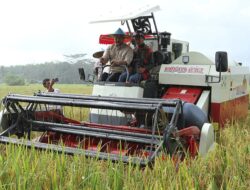 Bupati Edi Damansyah Optimistis Kukar Jadi Lumbung Pangan Kaltim