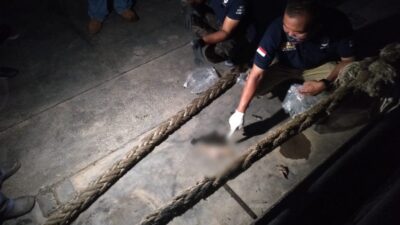 Bikin Geger! Potongan Tangan Ditemukan Mengapung di Sungai Mahakam