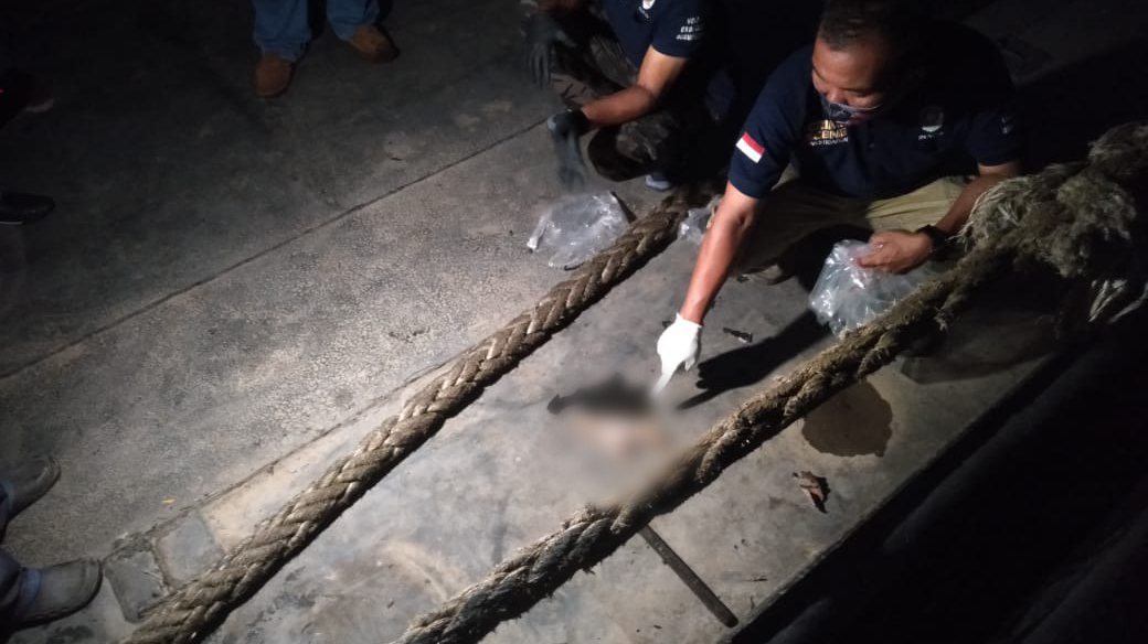 Bikin Geger! Potongan Tangan Ditemukan Mengapung di Sungai Mahakam