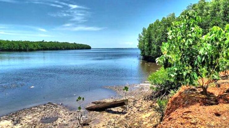 Rusak Akibat Pengeboman Ikan, Nasib Terumbu Karang di Teluk Kaba Memprihatinkan