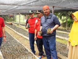 Bupati Edi Imbau Masyarakat Kukar Beli Bibit Kelapa Sawit Tersertifikasi