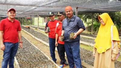 Bupati Edi Imbau Masyarakat Kukar Beli Bibit Kelapa Sawit Tersertifikasi