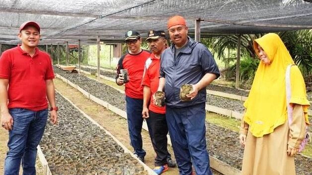 Bupati Edi Imbau Masyarakat Kukar Beli Bibit Kelapa Sawit Tersertifikasi