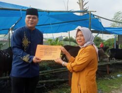 Napi di Samarinda Kurban Sepuluh Sapi, Dibagikan ke Masyarakat Sekitar Rutan