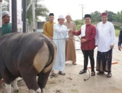 Disebar ke 18 Kecamatan, Pemkab Kukar Alokasikan Bantuan Kurban untuk Masjid dan Pesantren