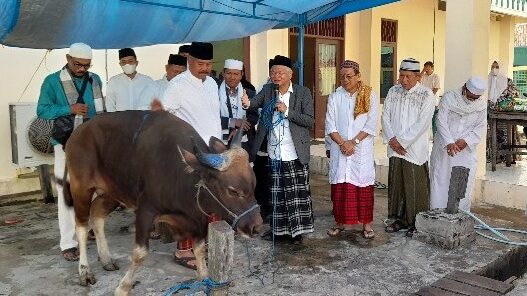 Serahkan Sapi Kurban ke Masjid Agung, Bupati Kukar Berharap Berkah untuk Masyarakat
