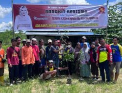 Penuhi Kebutuhan Petani, Ria Handayani Beri Bantuan Ribuan Bibit Mangga di Desa Bendang Raya