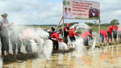 Bupati Kukar Bersama Warga Bukit Pariaman Tabur Kapur Dolomit