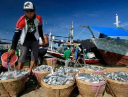 Bisa Picu Kanker, Nelayan Kaltim Diminta Tidak Pakai Pengawet Mayat