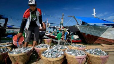 Bisa Picu Kanker, Nelayan Kaltim Diminta Tidak Pakai Pengawet Mayat