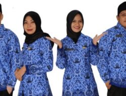 Masih Tahap Pengusulan Formasi, Rekrutmen CASN 2023 Bakal Dibuka untuk Umum