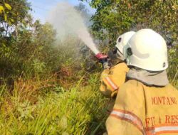 Lahan di Bontang Lestari Kembali Dilalap Si Jago Merah