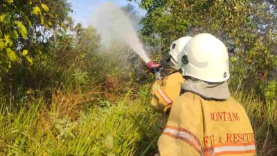Lahan di Bontang Lestari Kembali Dilalap Si Jago Merah