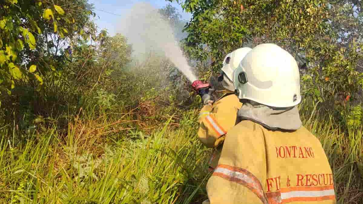 Lahan di Bontang Lestari Kembali Dilalap Si Jago Merah