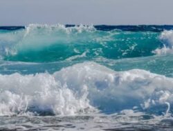 Pasang Air Laut Ancam Kawasan Pesisir, Masyarakat PPU Diminta Waspada