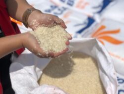 Hadapi El Nino, Ketersediaan Beras Nasional Diklaim Cukup Baik