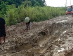 Dinas PU Kukar Gerak Cepat Penanganan Sementara Jalan Rusak Teluk Muda