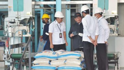 Bulog Diminta Serap Gabah Petani Sebanyak Mungkin Saat Panen Raya
