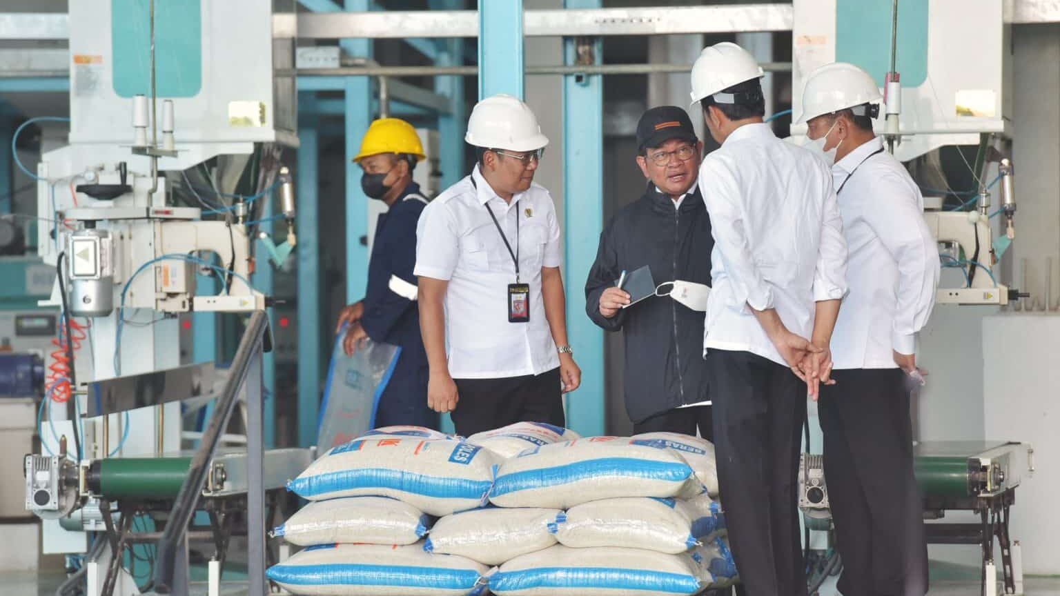 Bulog Diminta Serap Gabah Petani Sebanyak Mungkin Saat Panen Raya