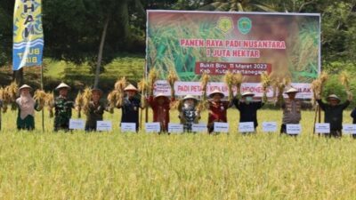 Kelurahan Bukit Biru Berikan Sumbangsih Beras Terbanyak Se-Kaltim