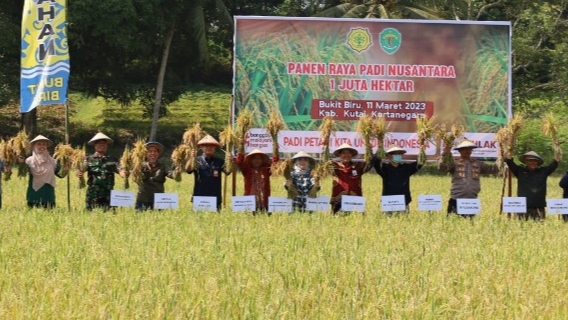 Kelurahan Bukit Biru Berikan Sumbangsih Beras Terbanyak Se-Kaltim