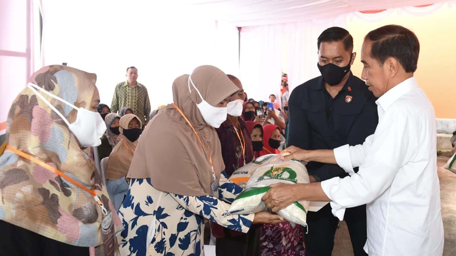 Jokowi Sebut Pemerintah Bakal Tetap Impor Beras, Ini Alasannya