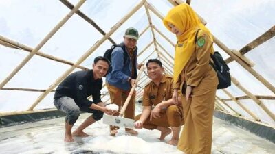Dibantu DKP Kaltim, Kelompok Usaha Garam Kersik Sukses Panen Perdana