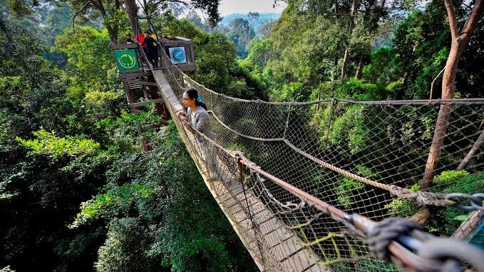 Pemprov Kaltim Gelontorkan Puluhan Miliar untuk Pengembangan Kehutanan