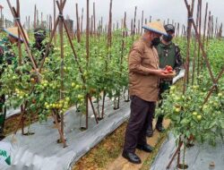 Optimalkan Sektor Pertanian, Pemdes Tanjung Batu Gaet Investor