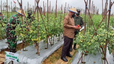 Optimalkan Sektor Pertanian, Pemdes Tanjung Batu Gaet Investor