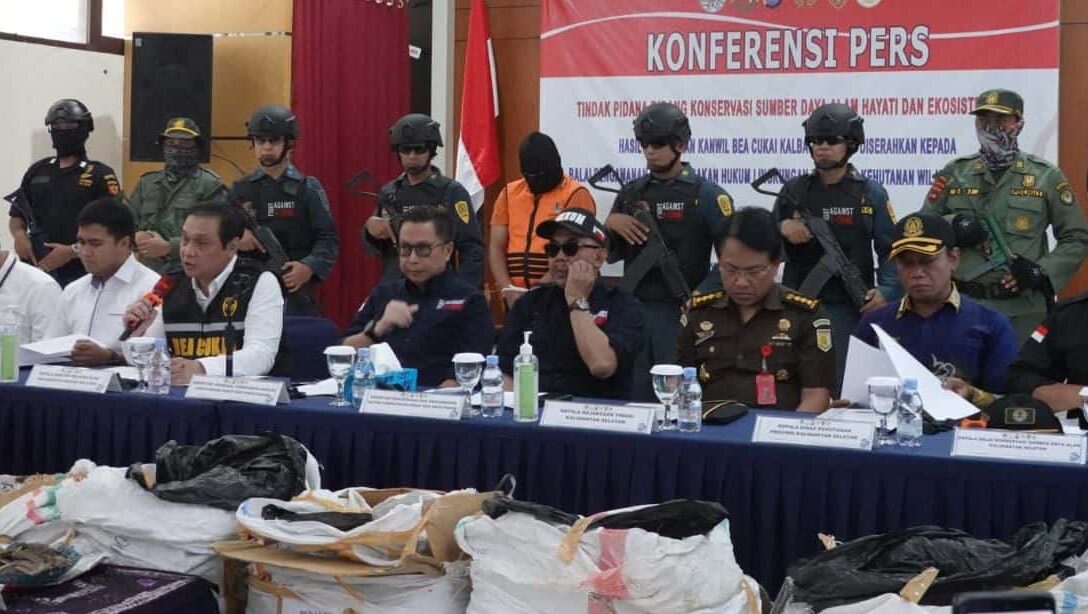 Penyelundupan Ratusan Kilogram Sisik Trenggiling Berhasil Digagalkan