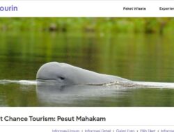 Promosikan Destinasi Wisata, Pokdarwis Pela Jalin Kerja Sama dengan Autorin