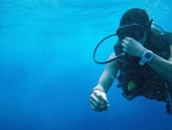 Keindahan Bawah Laut Jadi Potensi Wisata Snorkeling Desa Tanjung Limau