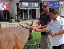 Antisipasi Penyakit, Distanak Kukar Pastikan Kondisi Kesehatan Hewan Kurban
