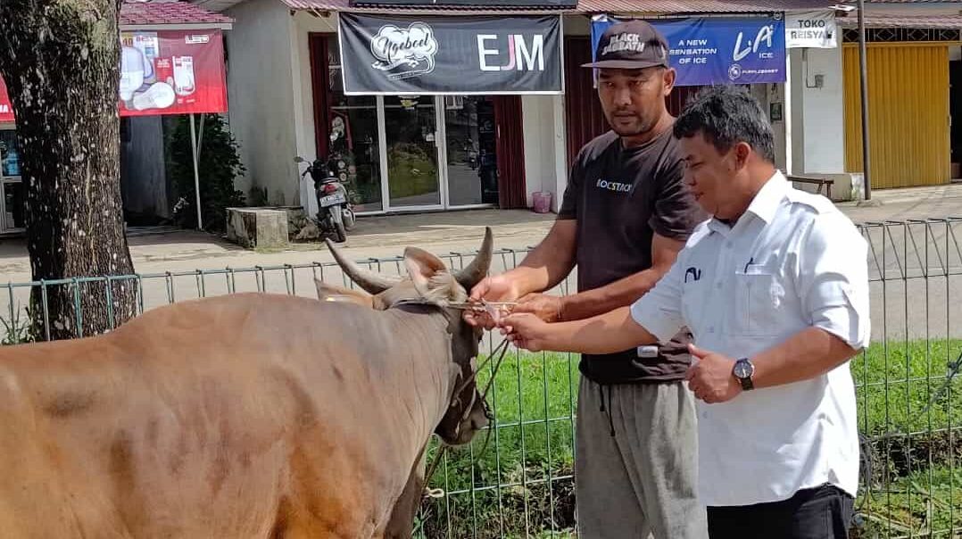 Antisipasi Penyakit, Distanak Kukar Pastikan Kondisi Kesehatan Hewan Kurban