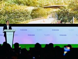 Sebut Kesempatan Emas, Jokowi Ajak Pengusaha Singapura Investasi di IKN
