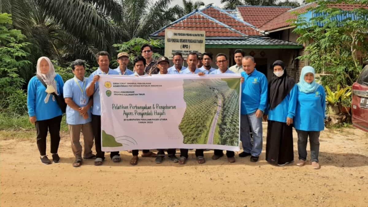 Kendalikan Hama, Disbun Kaltim Latih Perbanyakan dan Penyebaran Agens Hayati