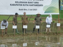 Hadapi El Nino, Gubernur Kaltim Resmikan Gerakan Tanam Padi Seribu Hektare